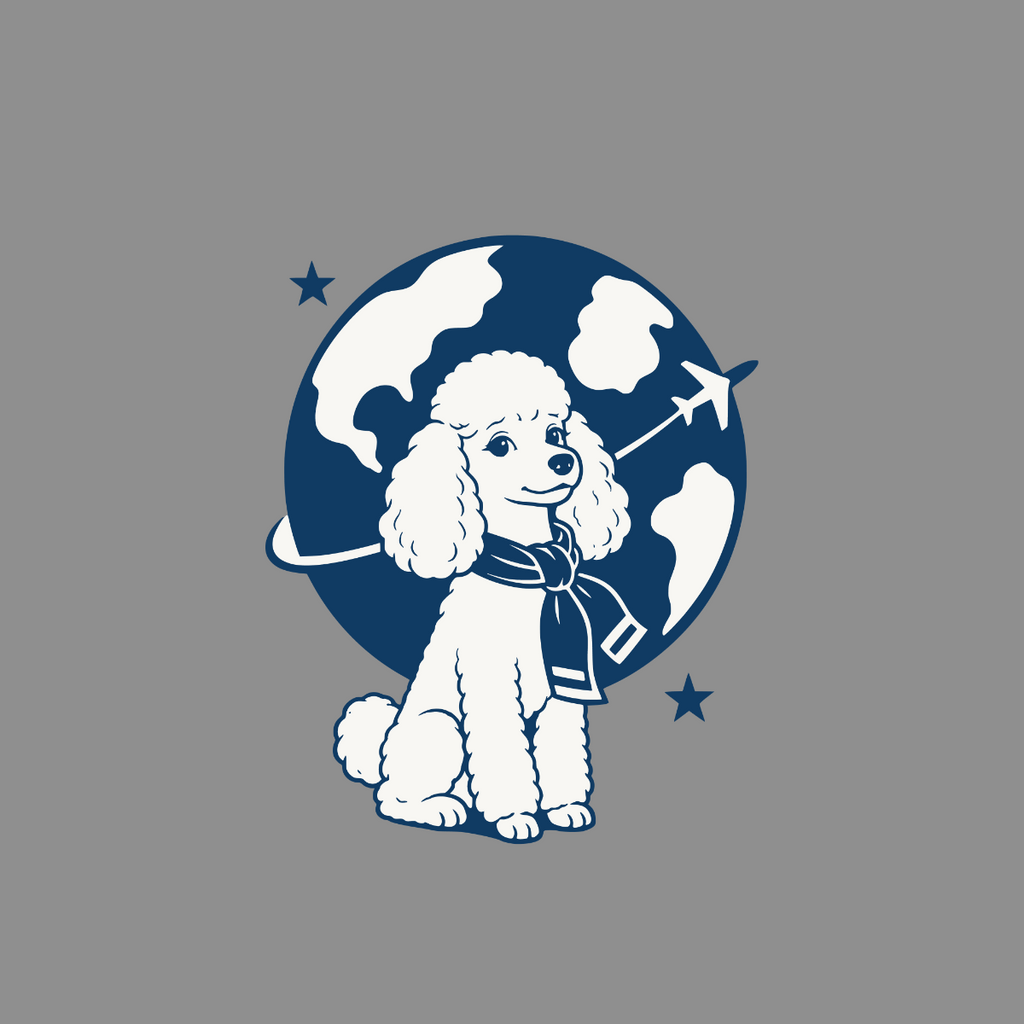 White poodle with scarf sits in front of a blue globe with airplane and stars.