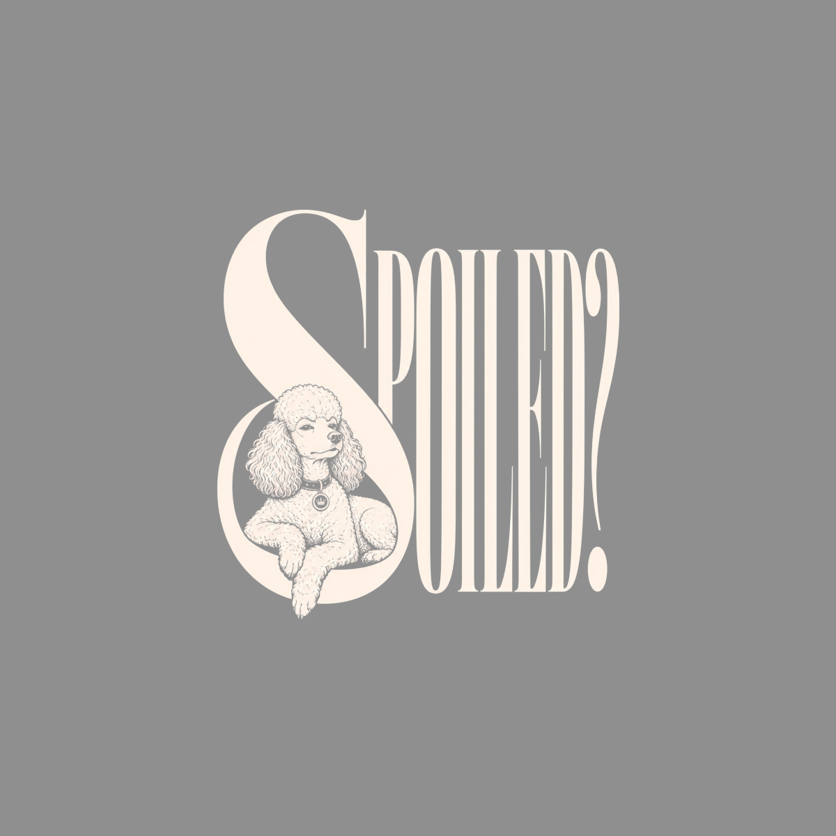 Illustration of a poodle with the word "SPOILED?" on a gray background.