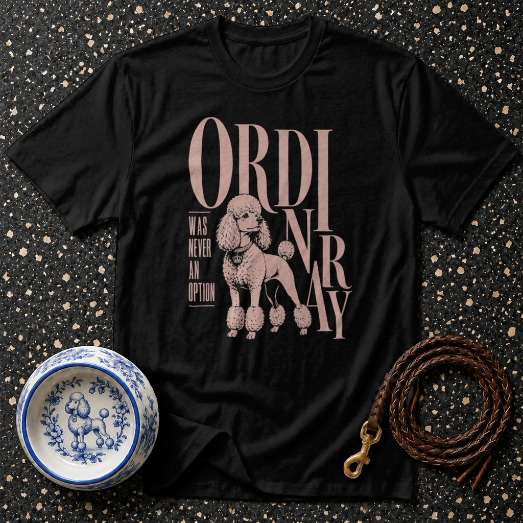 Black t-shirt with pink text "ORDINARY" and poodle graphic.