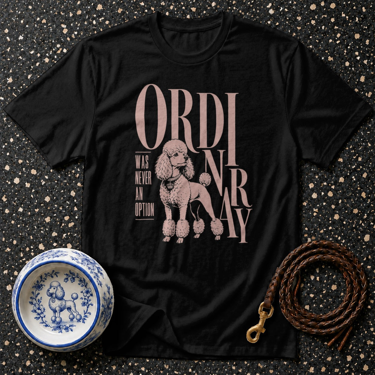 Black t-shirt with pink text "ORDINARY" and poodle graphic.