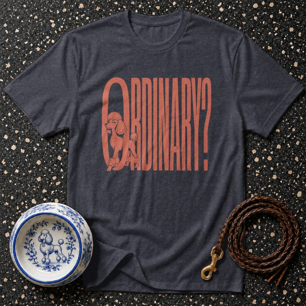 Dark grey t-shirt with "ORDINARY?" and a poodle graphic.