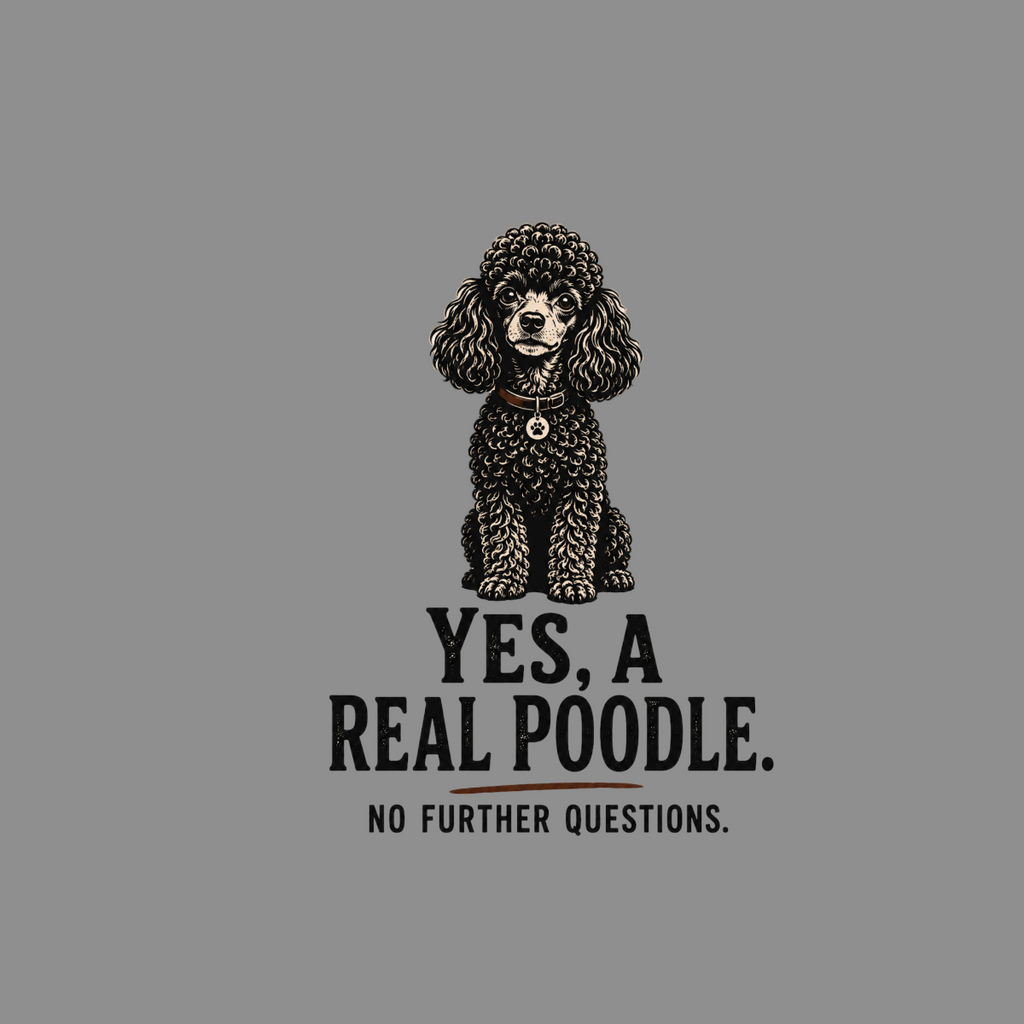 Black poodle with text: YES, A REAL POODLE. NO FURTHER QUESTIONS.
