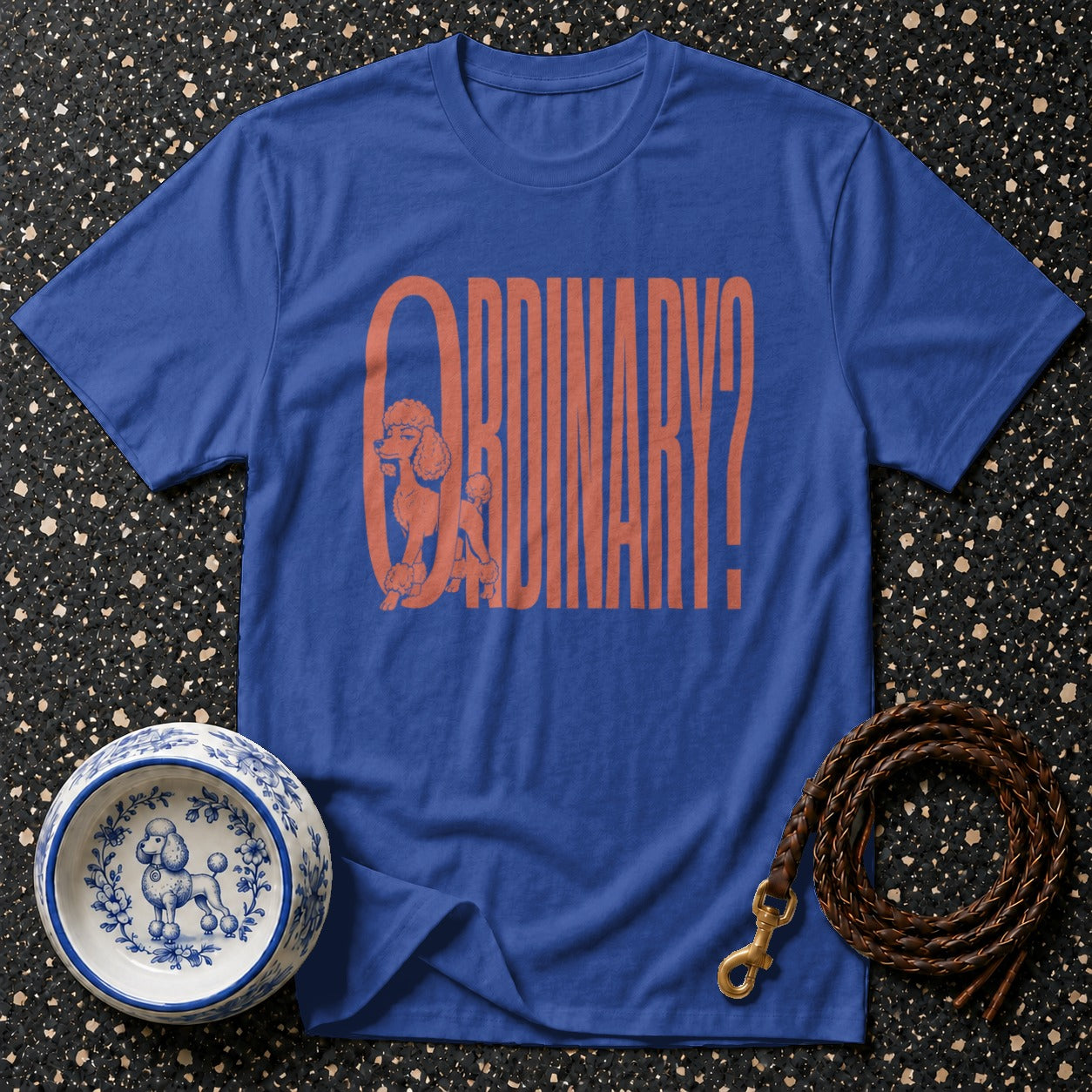 Blue t-shirt with orange poodle and text "ORDINARY?".