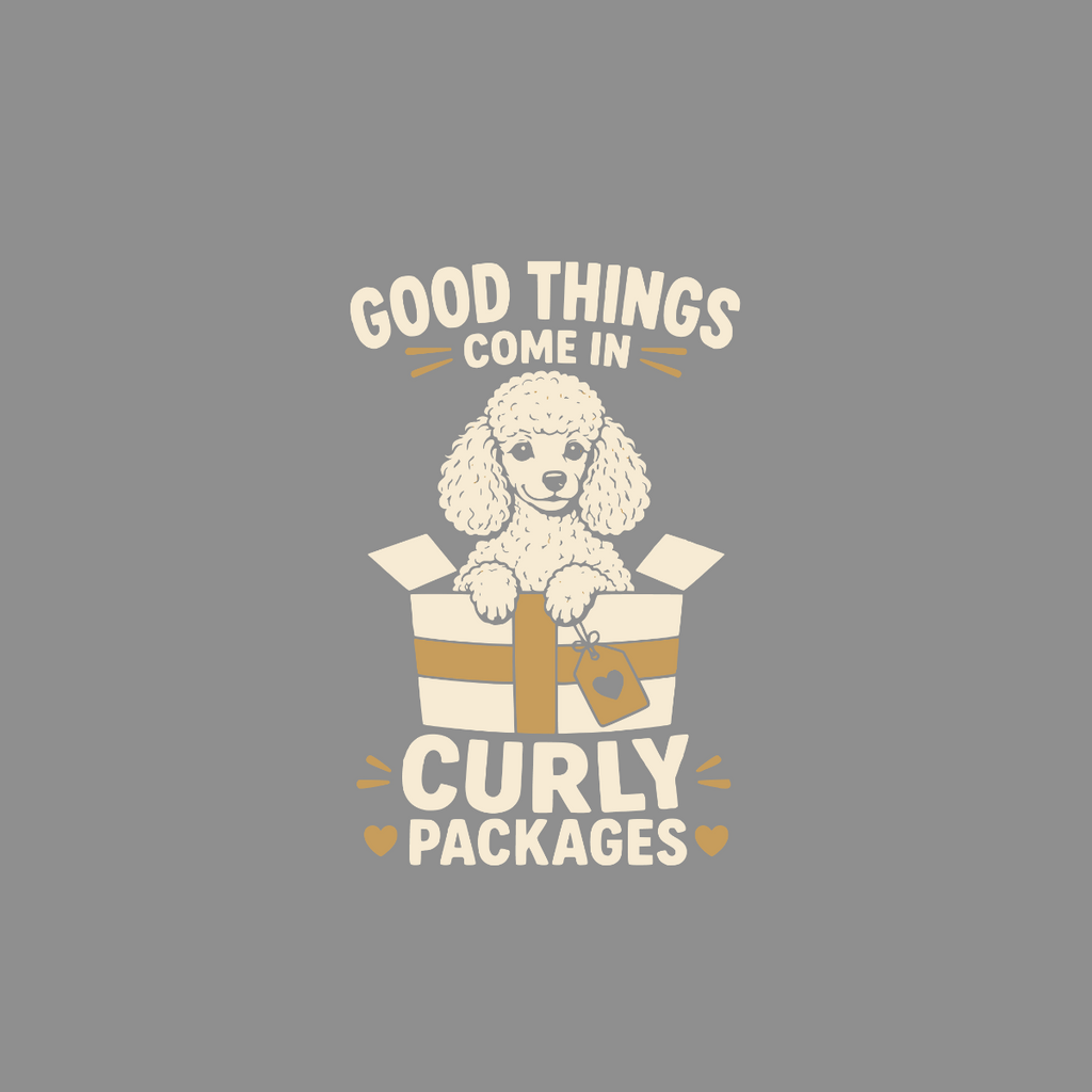 White poodle in a box with text "Good Things Come In Curly Packages"