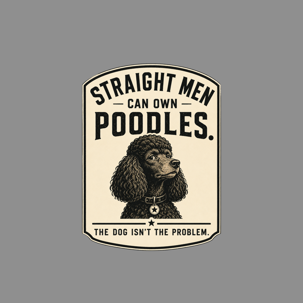 Illustration with text: "Straight men can own poodles. The dog isn't the problem."