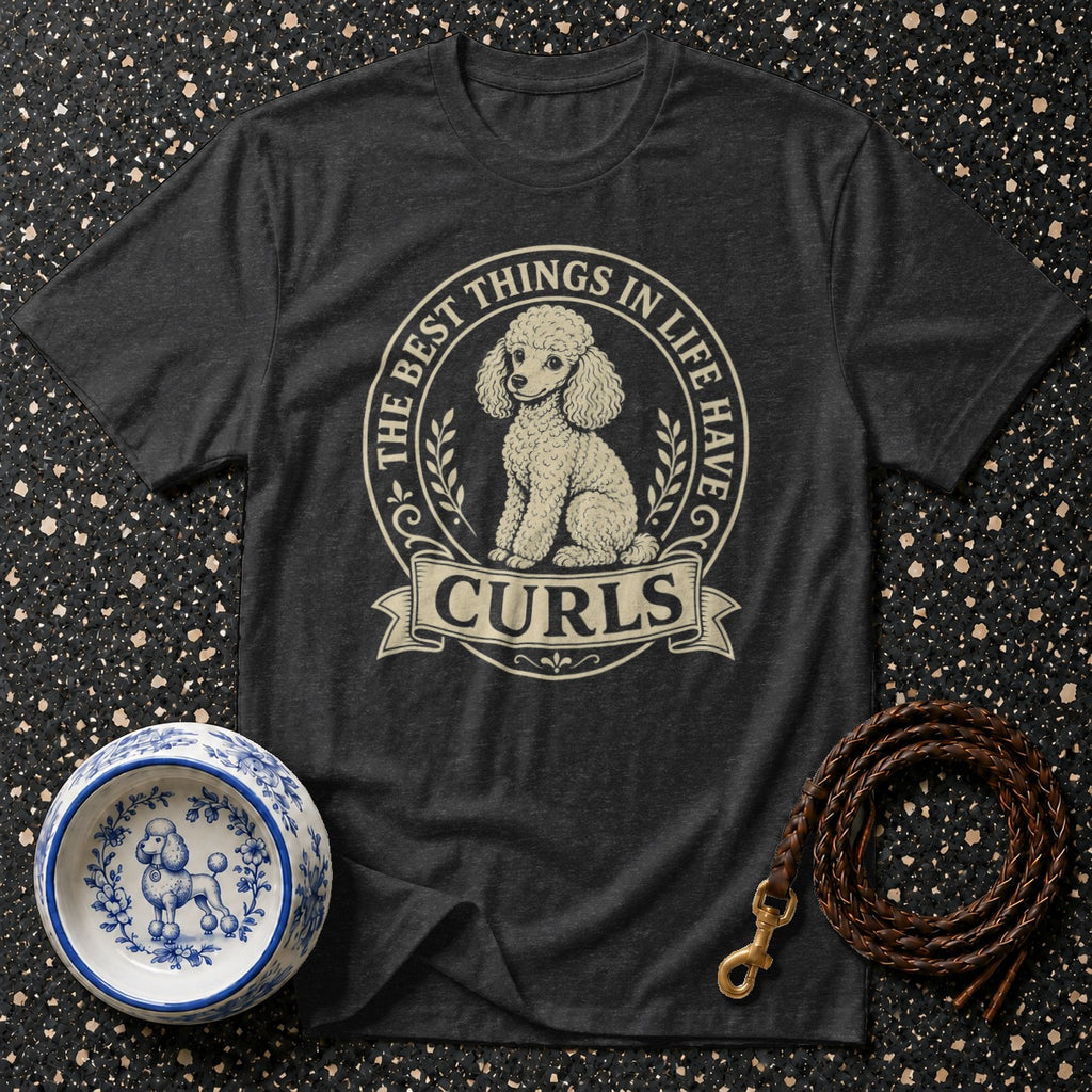 Dark grey t-shirt with a poodle graphic and "The Best Things in Life Have Curls" text.