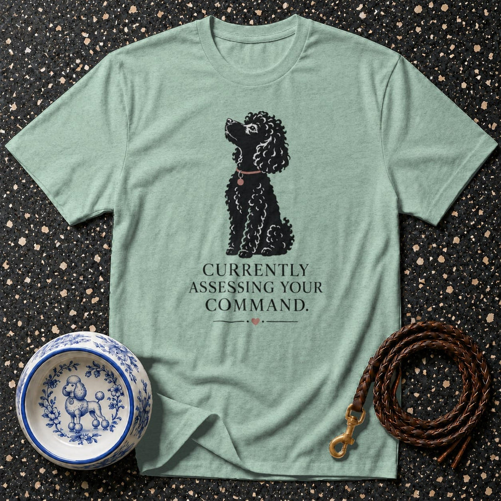Mint t-shirt with black poodle graphic and text "CURRENTLY ASSESSING YOUR COMMAND.".