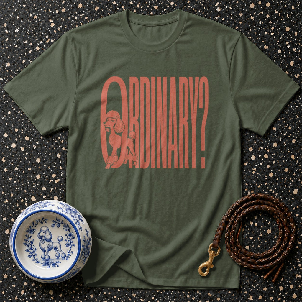 Green t-shirt with "ORDINARY?" text and a poodle graphic.