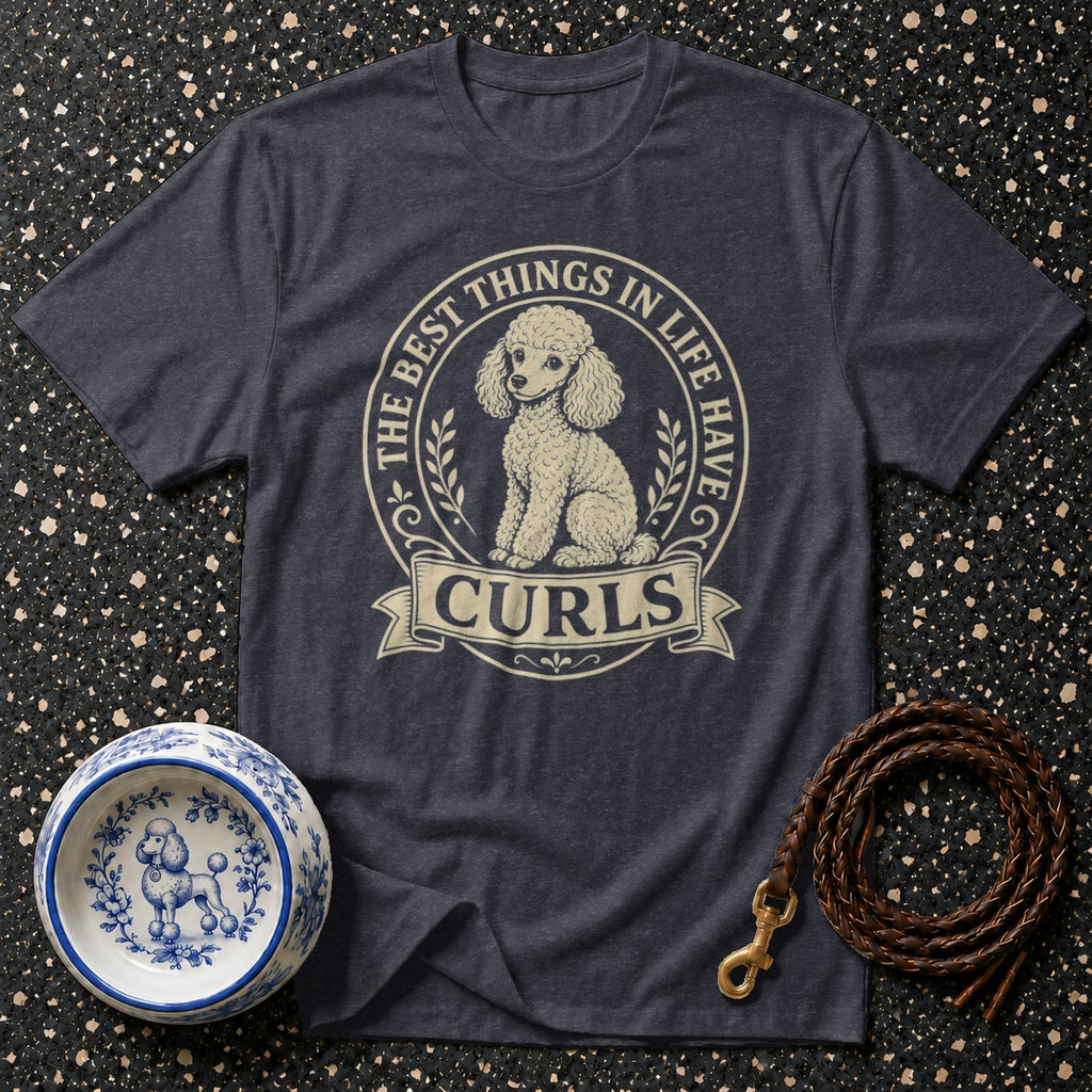 Dark gray t-shirt with poodle graphic: "The Best Things In Life Have Curls."