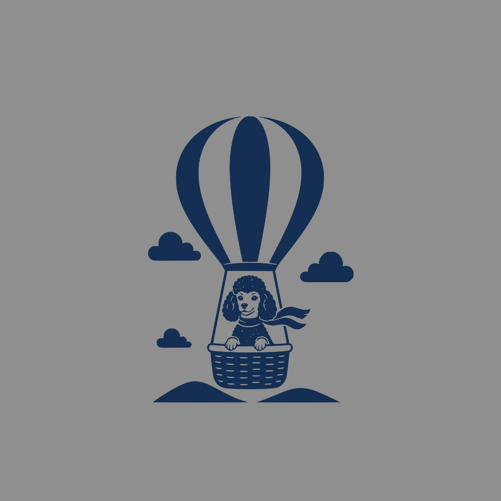 Poodle in a hot air balloon with scarf and clouds.